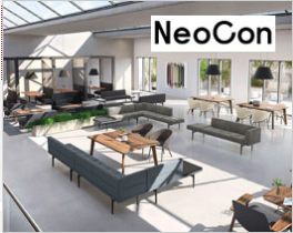neocon-1